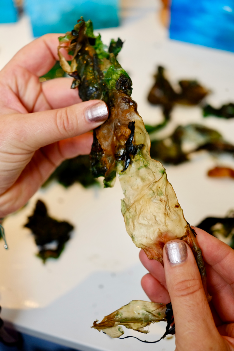 Art by Mary Doyle Burke