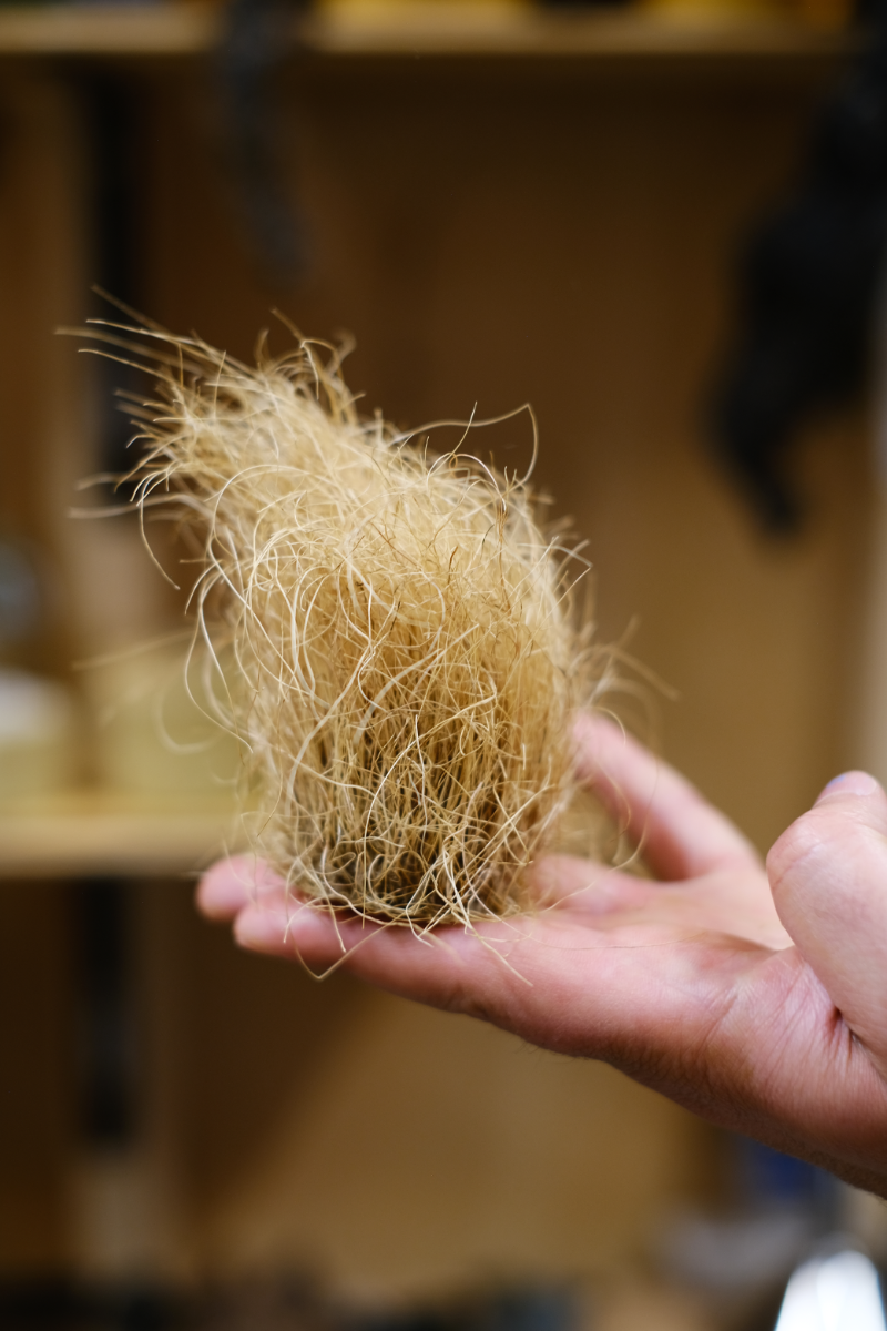 Art by Marco Di Sante