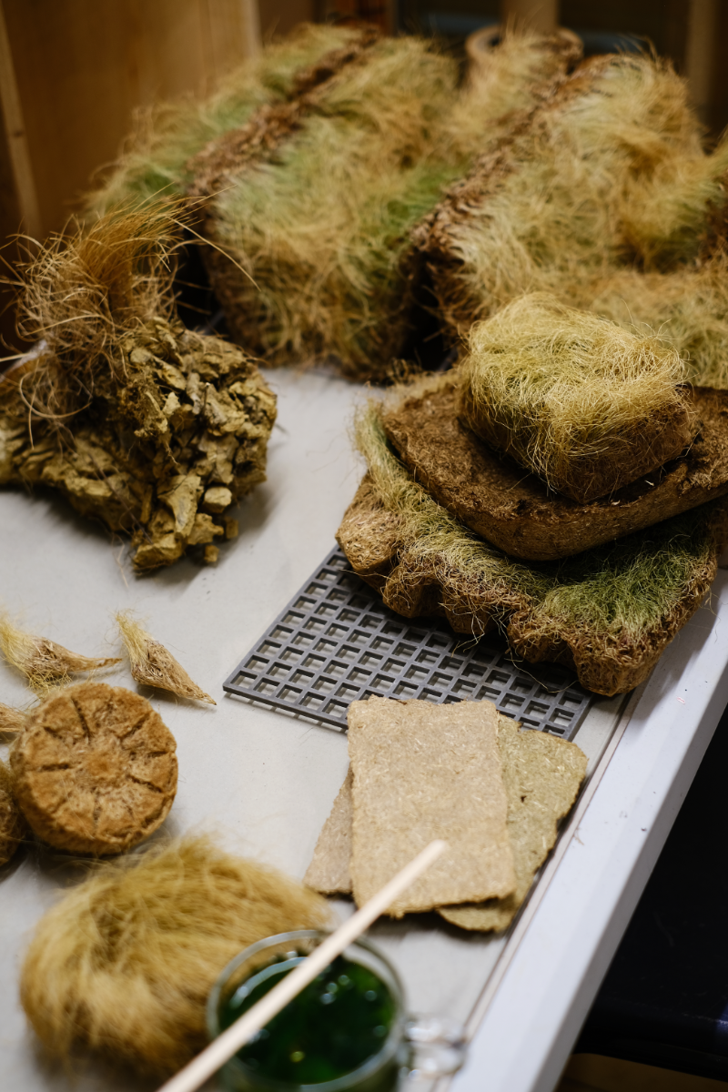 Art by Marco Di Sante