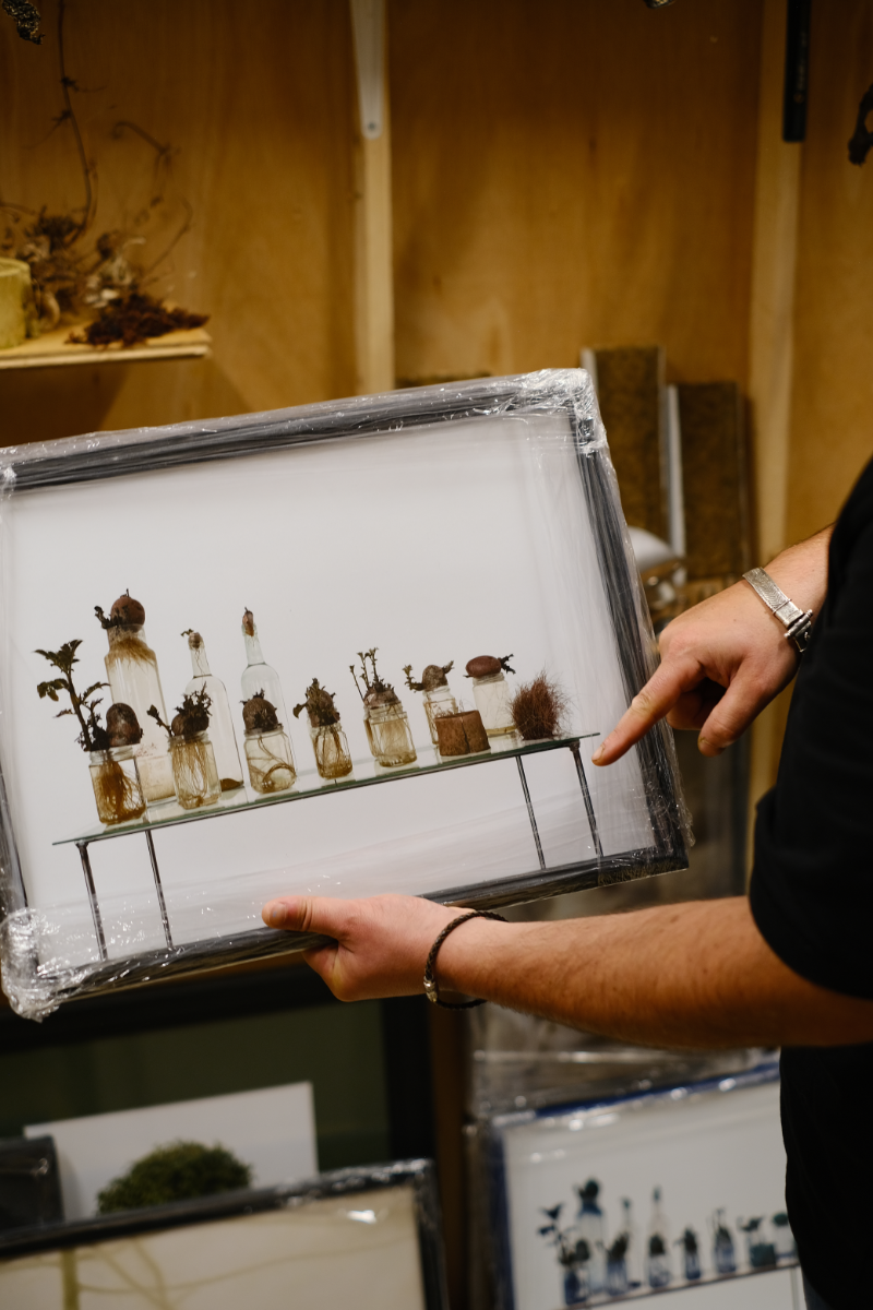 Art by Marco Di Sante